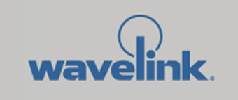 WAVELINK 110-LI-STSS50