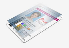 ZEBRACARD 800085-918