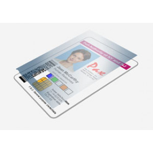 ZEBRACARD 800085-914
